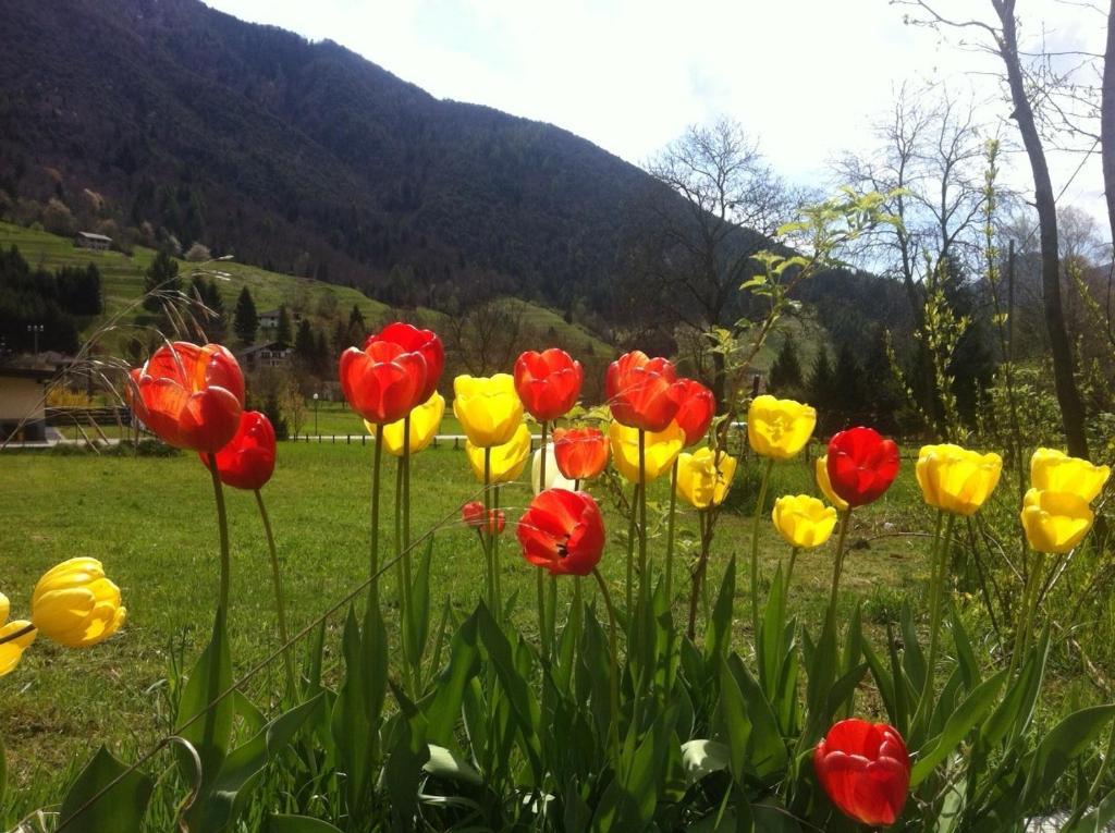 Cadria Nature & Bike Hotel Lenzumo di Concei Dış mekan fotoğraf